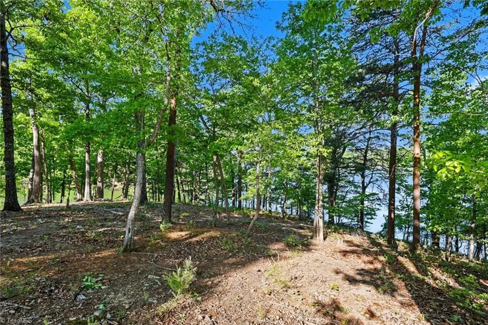 1629 Healing Springs Drive Denton, NC 27239