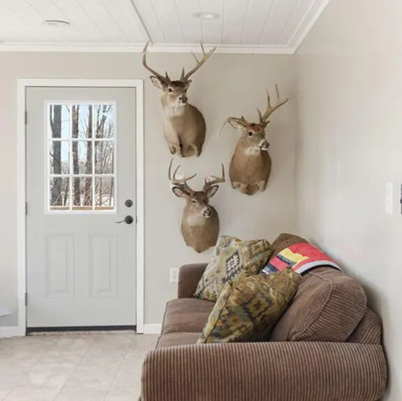 3607 E Hansen Road Custer, MI 49405
