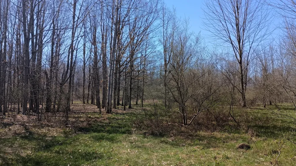 3607 E Hansen Road Custer, MI 49405