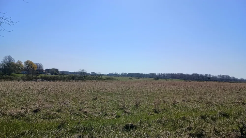 3607 E Hansen Road Custer, MI 49405
