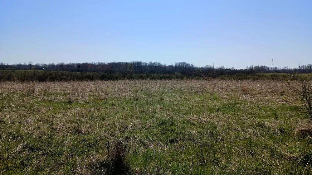 3607 E Hansen Road Custer, MI 49405