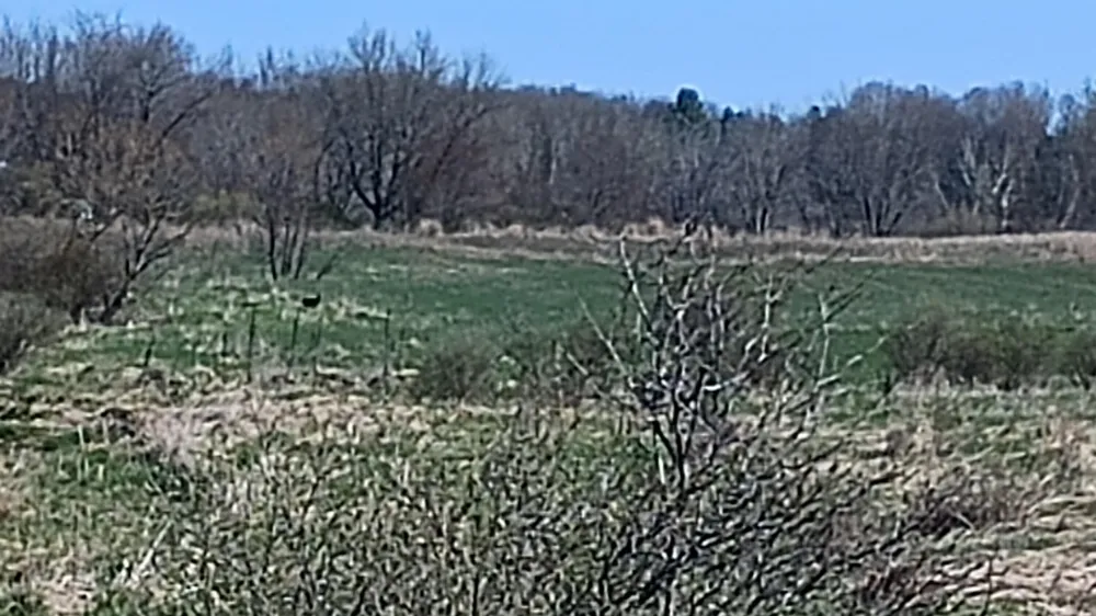 3607 E Hansen Road Custer, MI 49405