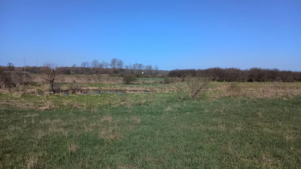 3607 E Hansen Road Custer, MI 49405