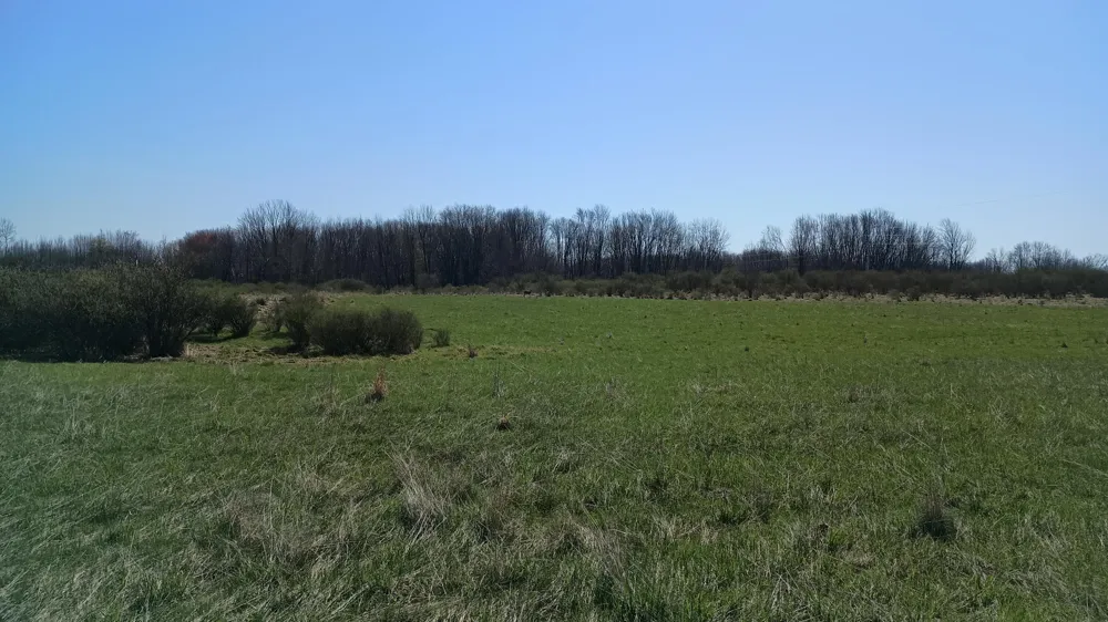 3607 E Hansen Road Custer, MI 49405