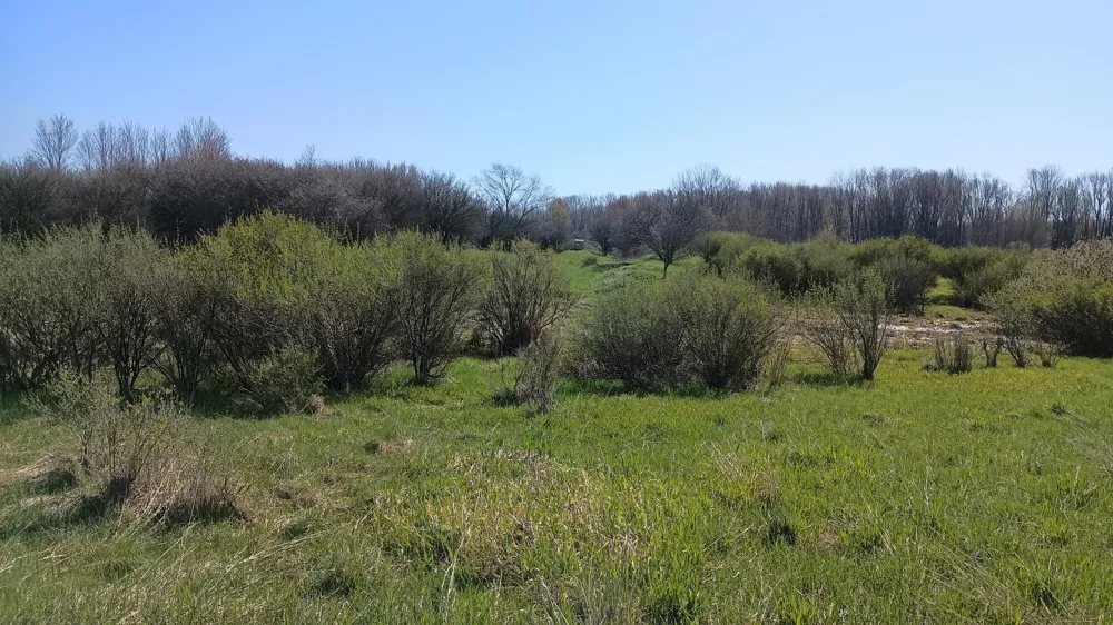 3607 E Hansen Road Custer, MI 49405