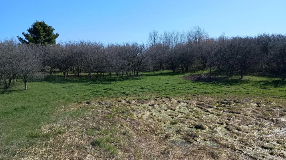 3607 E Hansen Road Custer, MI 49405