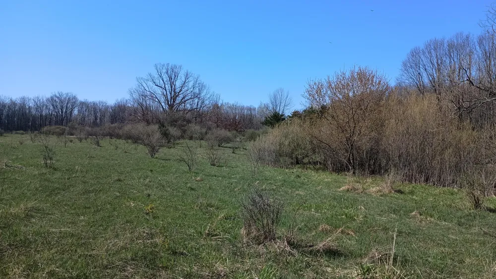 3607 E Hansen Road Custer, MI 49405