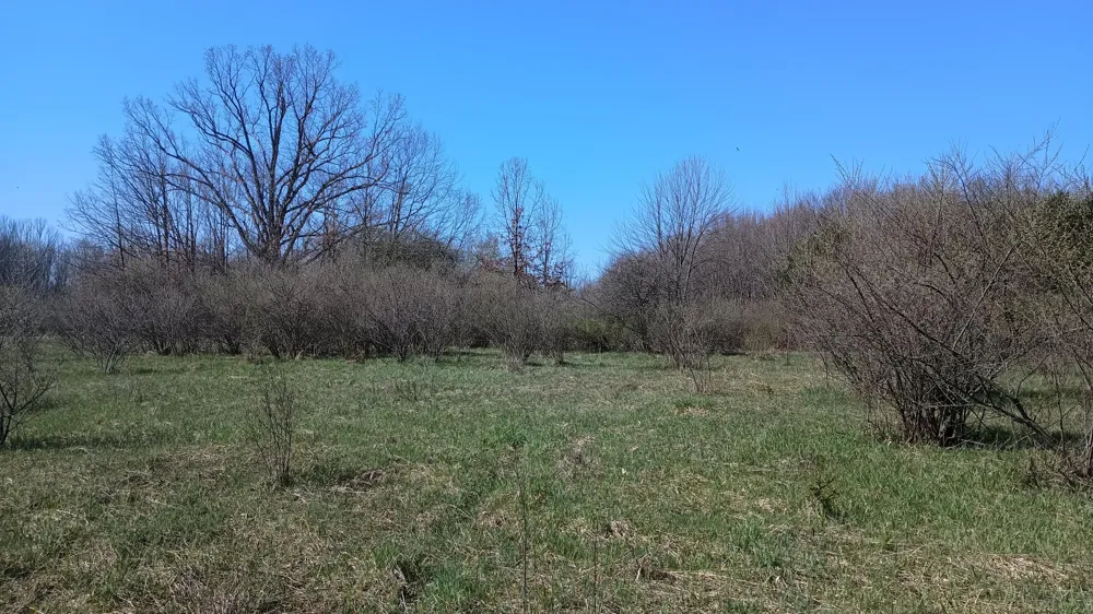 3607 E Hansen Road Custer, MI 49405