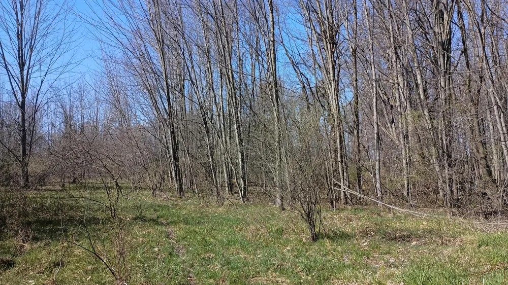 3607 E Hansen Road Custer, MI 49405