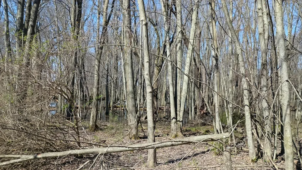 3607 E Hansen Road Custer, MI 49405