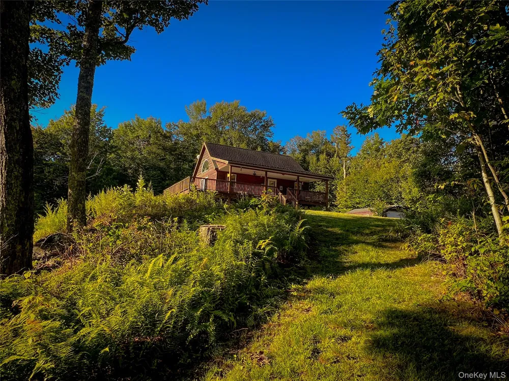 295 Emerald Heights Road Downsville, NY 13752