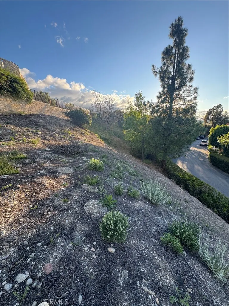 23808 Bella Vista Newhall, CA 91321