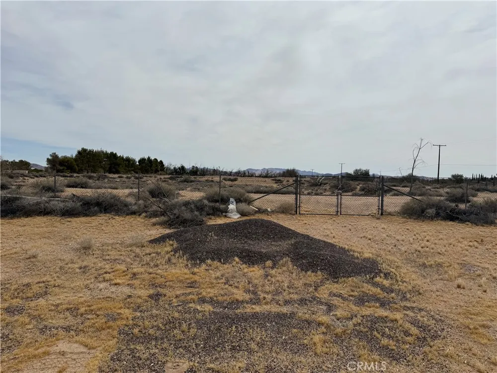 34805 Newberry Newberry Springs, CA 92365