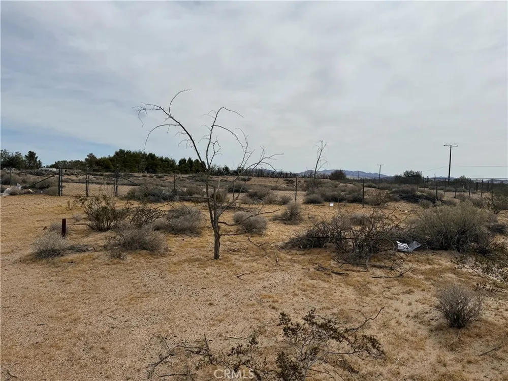 34805 Newberry Newberry Springs, CA 92365