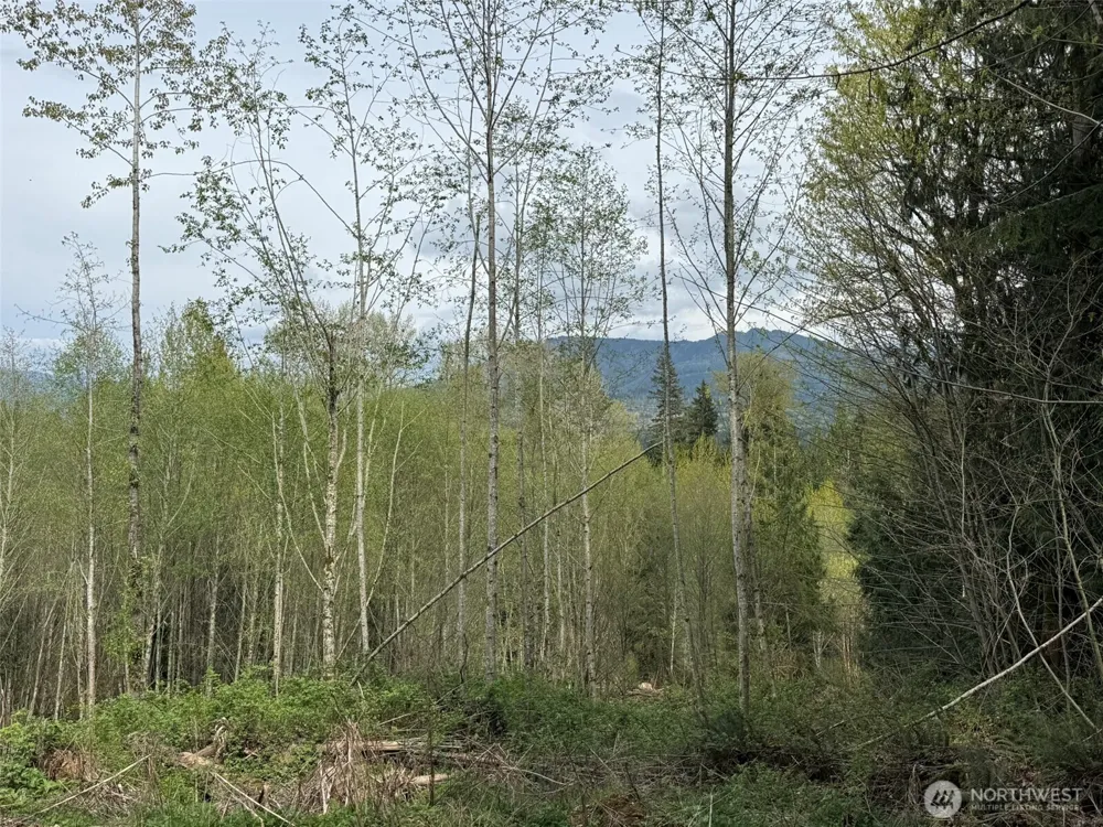 33115 37th Avenue NE Arlington, WA 98223