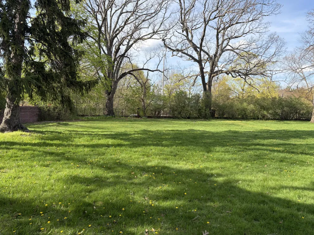 250 Plymouth Avenue SE #3 East Grand Rapids, MI 49506