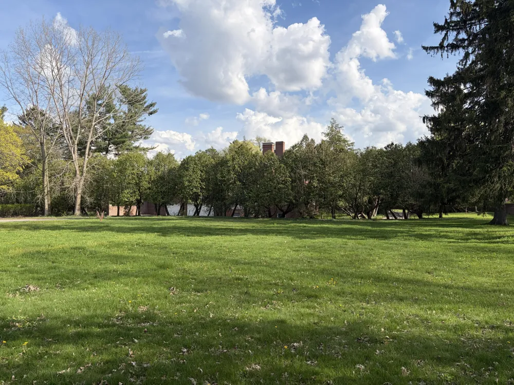 250 Plymouth Avenue SE #3 East Grand Rapids, MI 49506