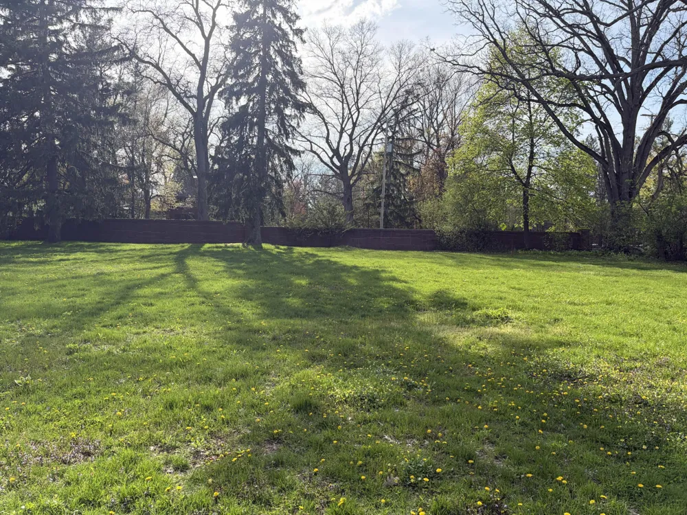 250 Plymouth Avenue SE #3 East Grand Rapids, MI 49506