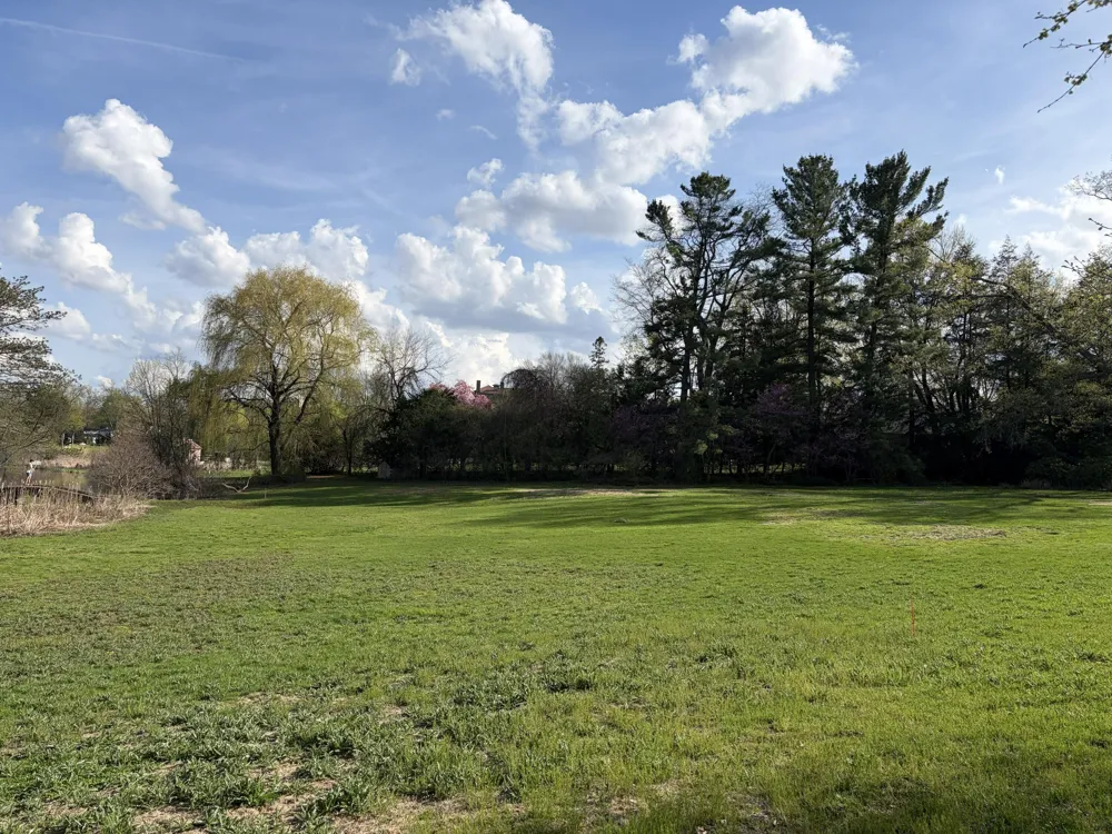 250 Plymouth Avenue SE #5 East Grand Rapids, MI 49506