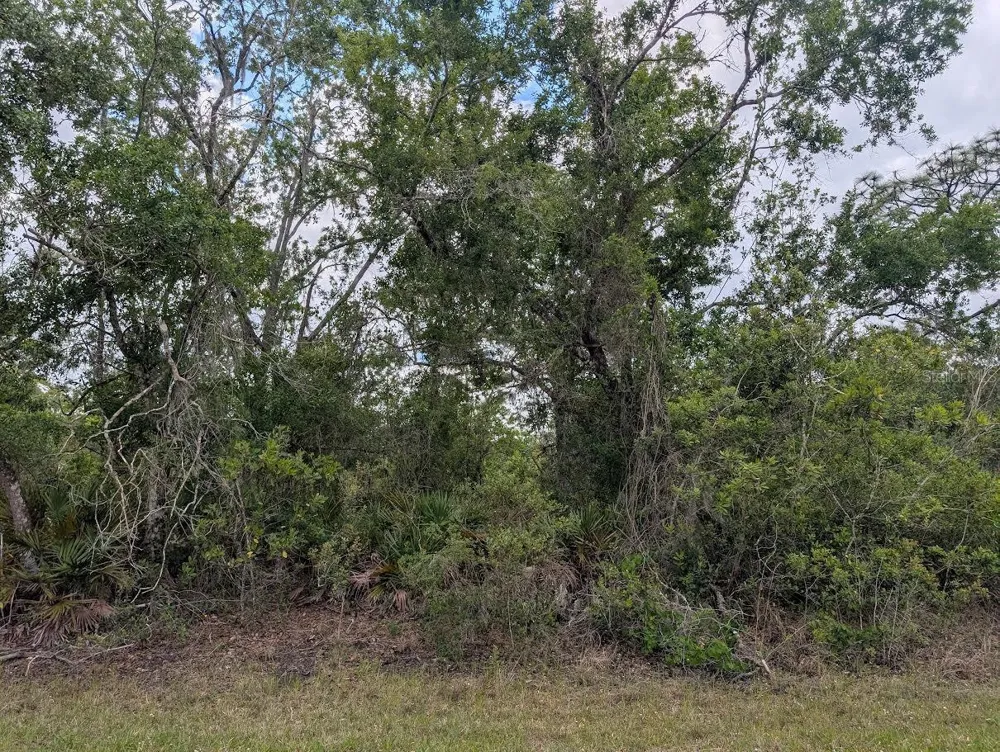1009 AZALEA DRIVE Indian Lake Estates, FL 33855