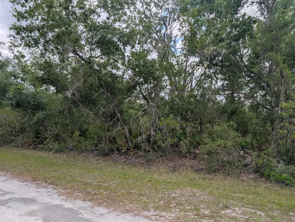 1009 AZALEA DRIVE Indian Lake Estates, FL 33855