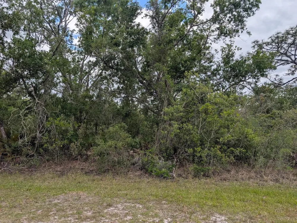 1009 AZALEA DRIVE Indian Lake Estates, FL 33855