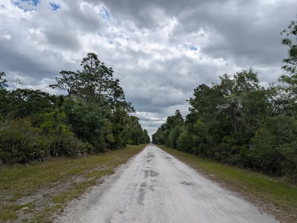 1009 AZALEA DRIVE Indian Lake Estates, FL 33855