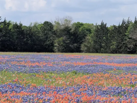 10 Fm 2562 Road
