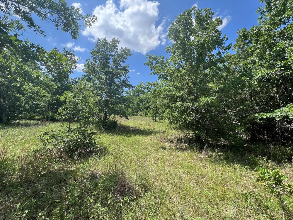 10 Fm 2562 Road Anderson, TX 77830