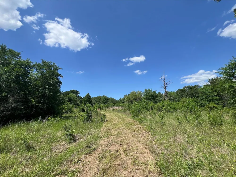 10 Fm 2562 Road Anderson, TX 77830
