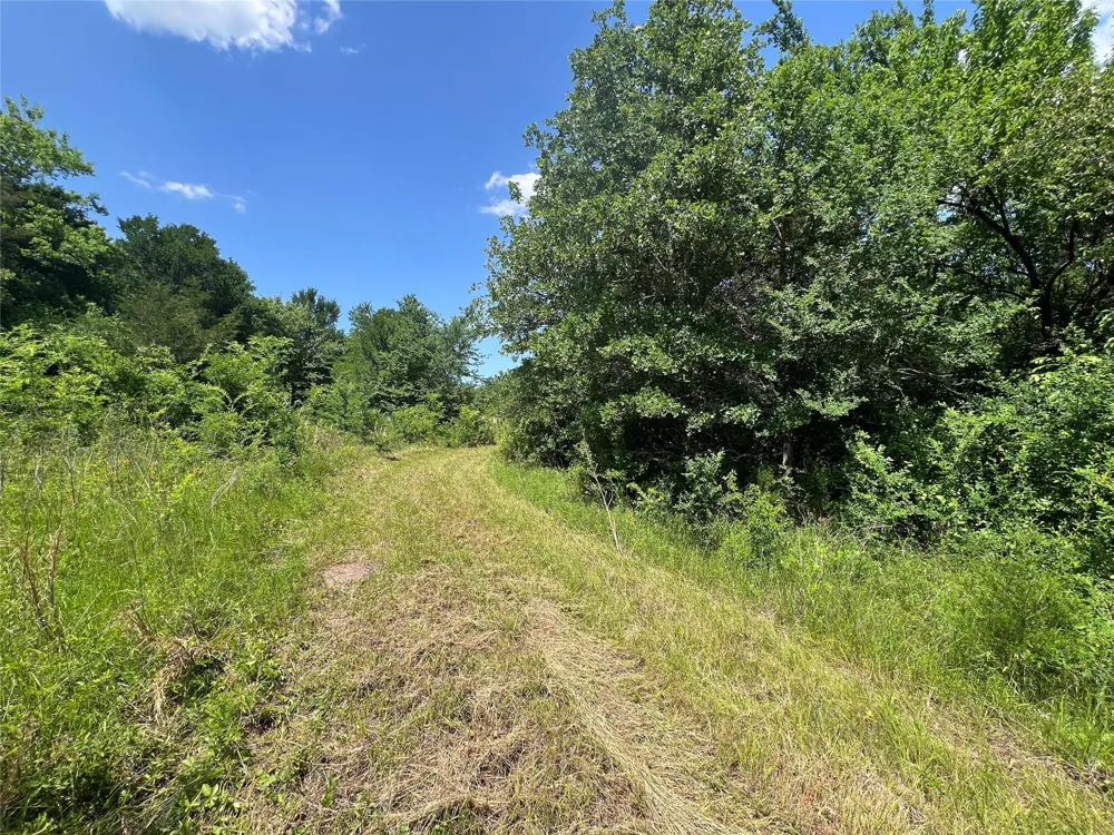 10 Fm 2562 Road Anderson, TX 77830