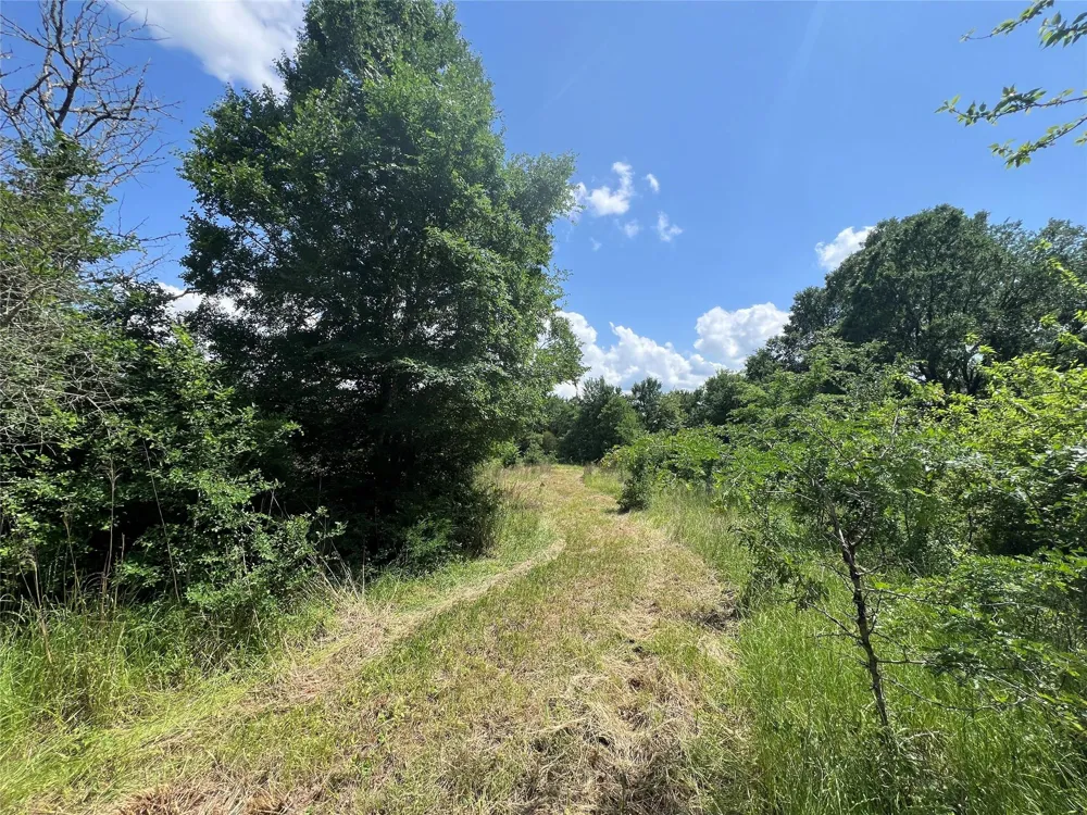 10 Fm 2562 Road Anderson, TX 77830