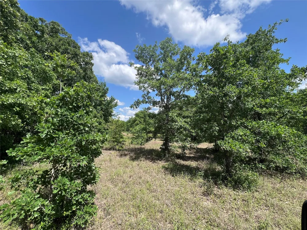10 Fm 2562 Road Anderson, TX 77830