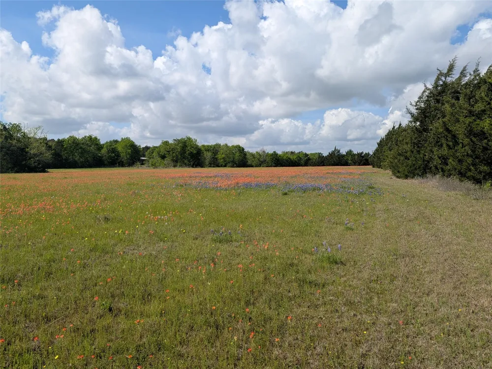 10 Fm 2562 Road Anderson, TX 77830