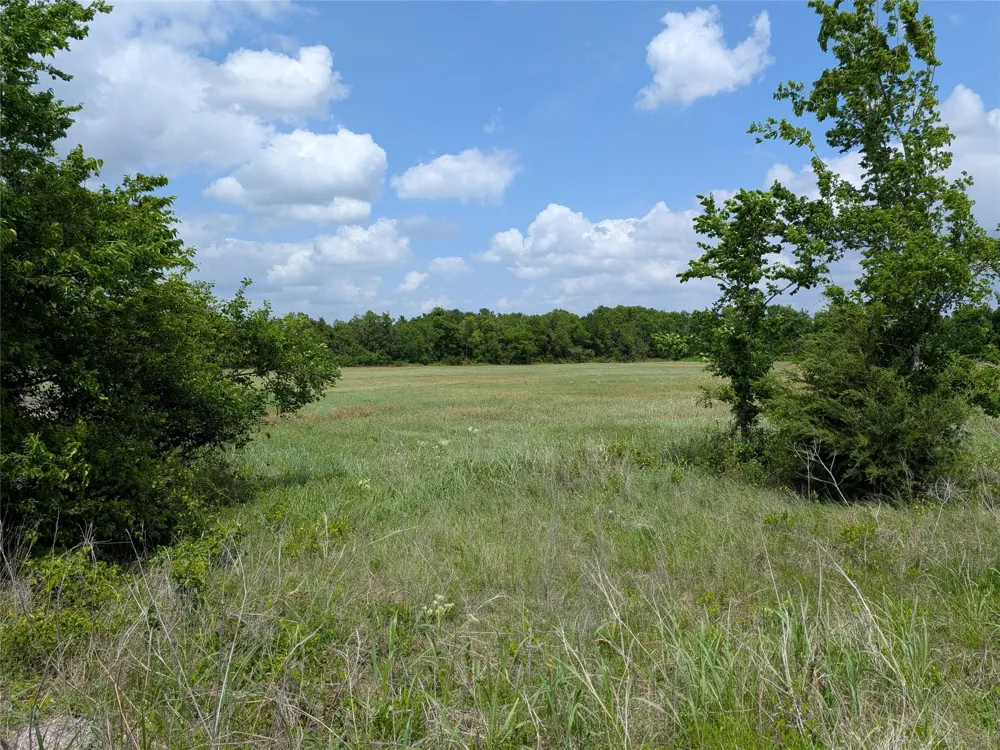10 Fm 2562 Road Anderson, TX 77830
