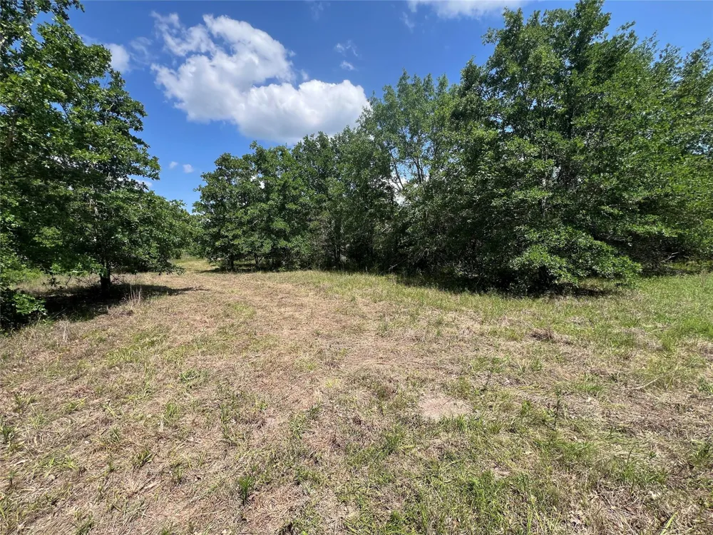 10 Fm 2562 Road Anderson, TX 77830