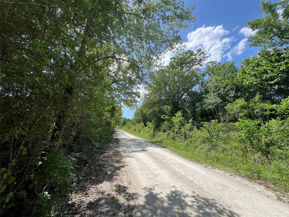 10 Fm 2562 Road Anderson, TX 77830