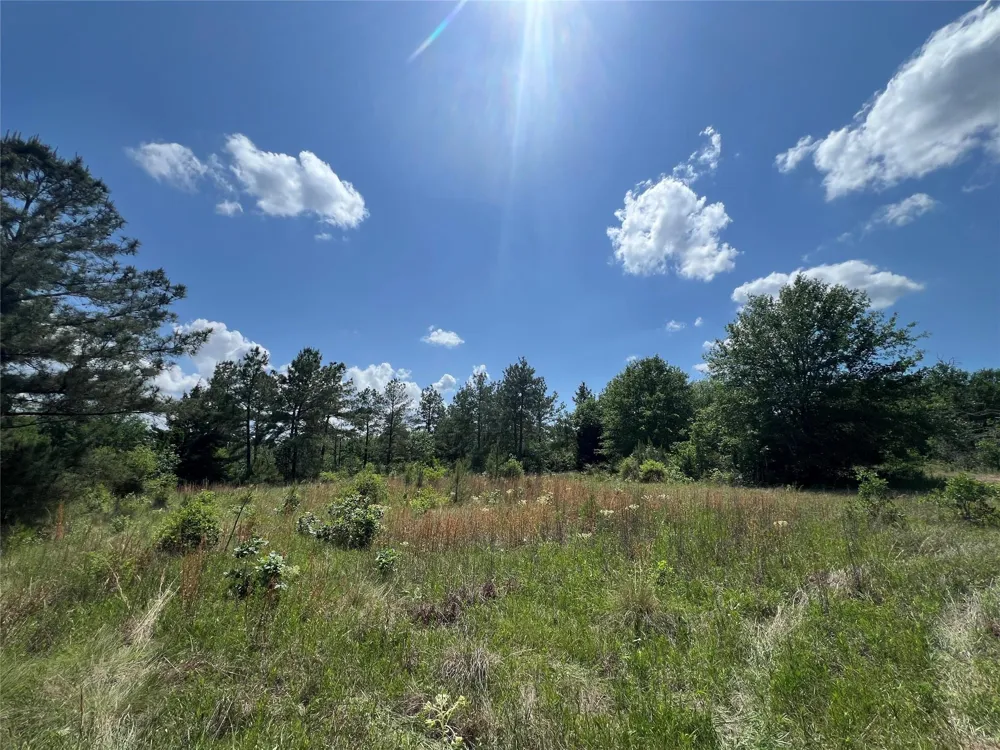 10 Fm 2562 Road Anderson, TX 77830