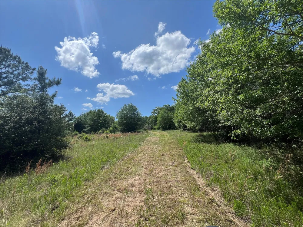 10 Fm 2562 Road Anderson, TX 77830