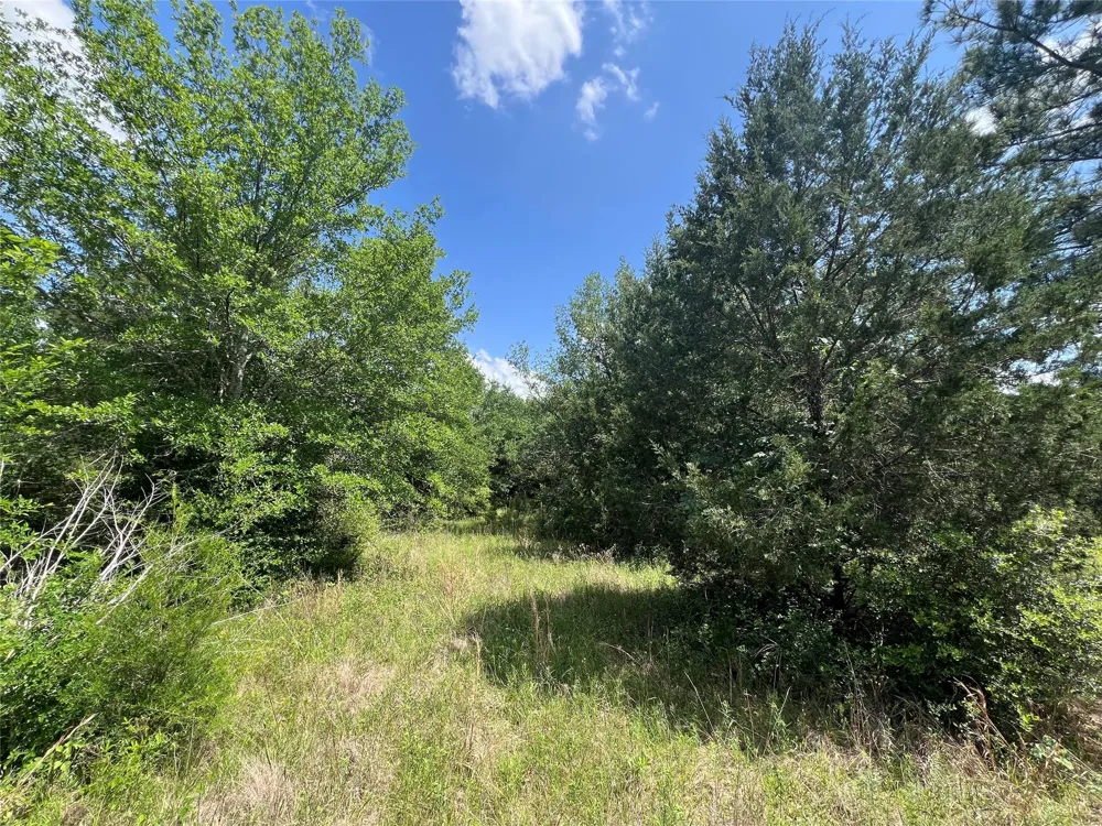 10 Fm 2562 Road Anderson, TX 77830