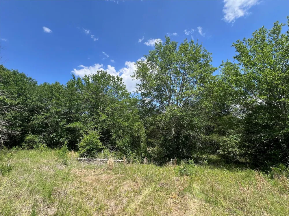 10 Fm 2562 Road Anderson, TX 77830