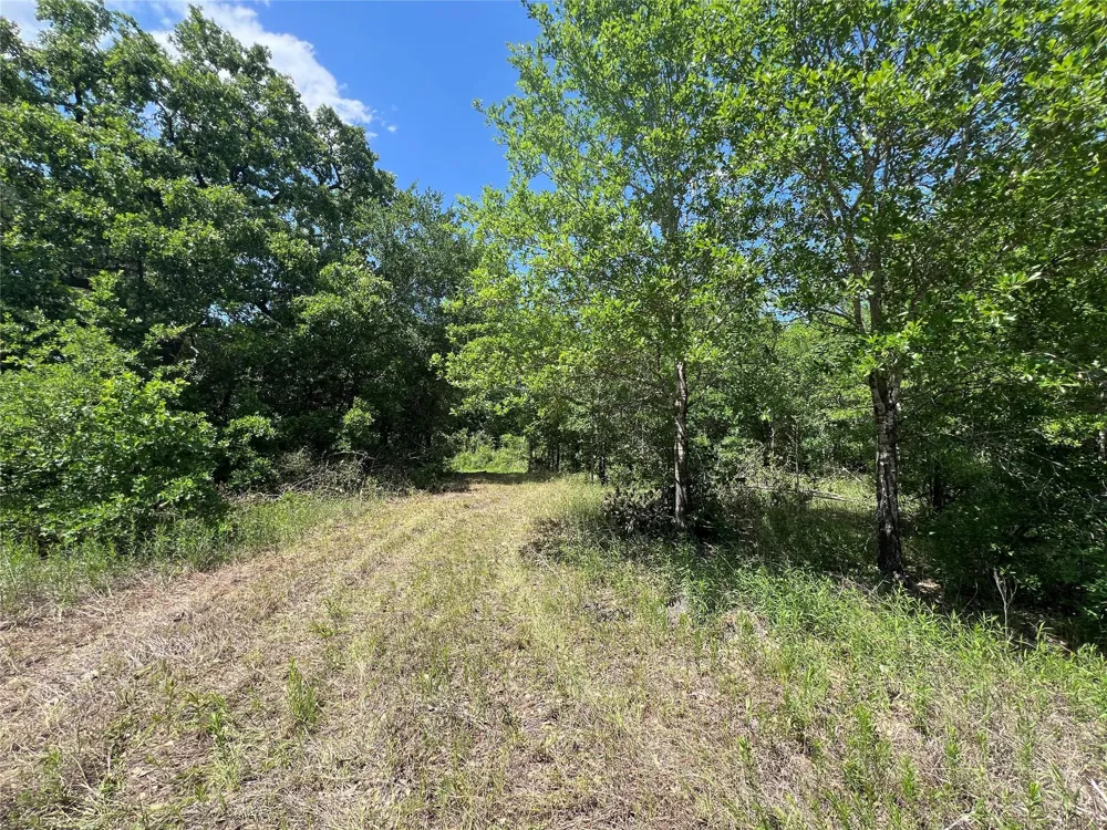 10 Fm 2562 Road Anderson, TX 77830