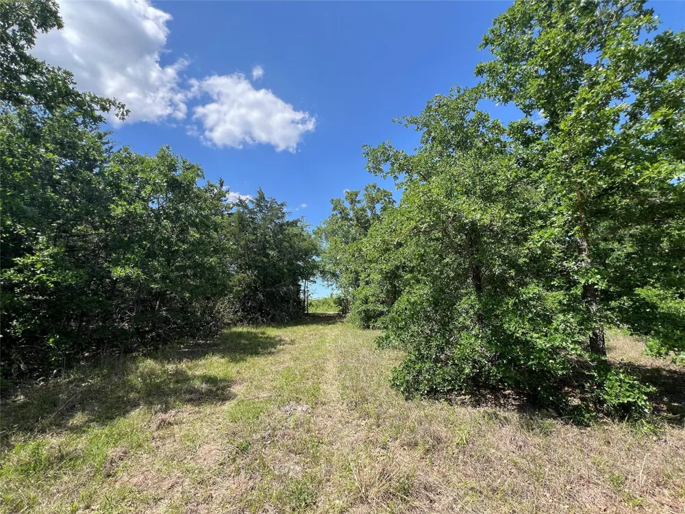 10 Fm 2562 Road Anderson, TX 77830