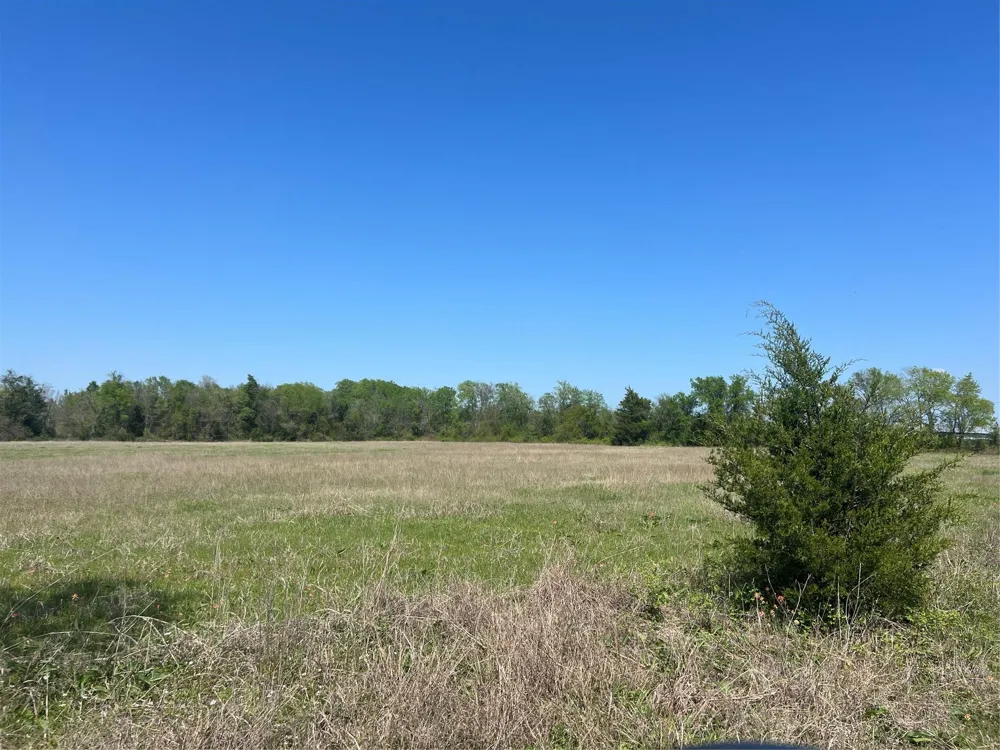 31 Fm 2562 And Cr 218 Road Anderson, TX 77830