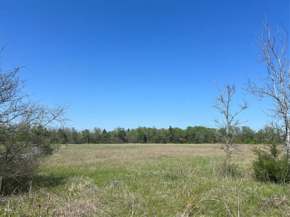31 Fm 2562 And Cr 218 Road Anderson, TX 77830