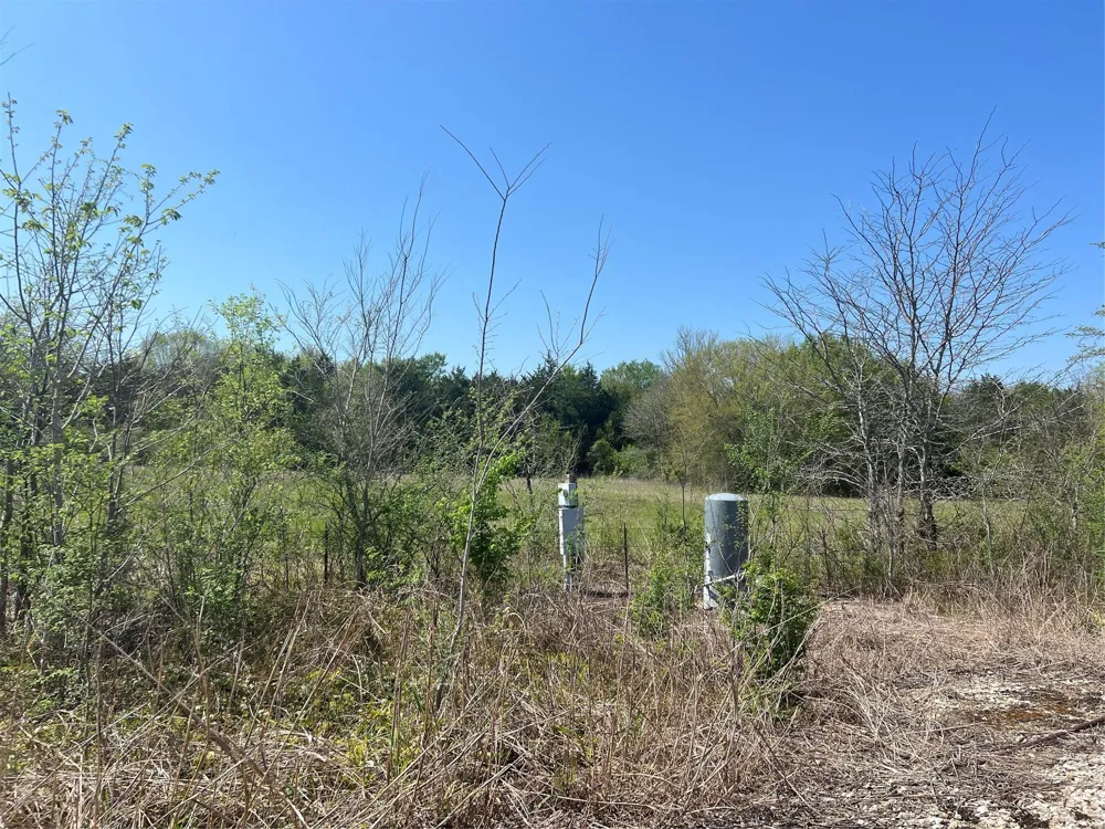 31 Fm 2562 And Cr 218 Road Anderson, TX 77830