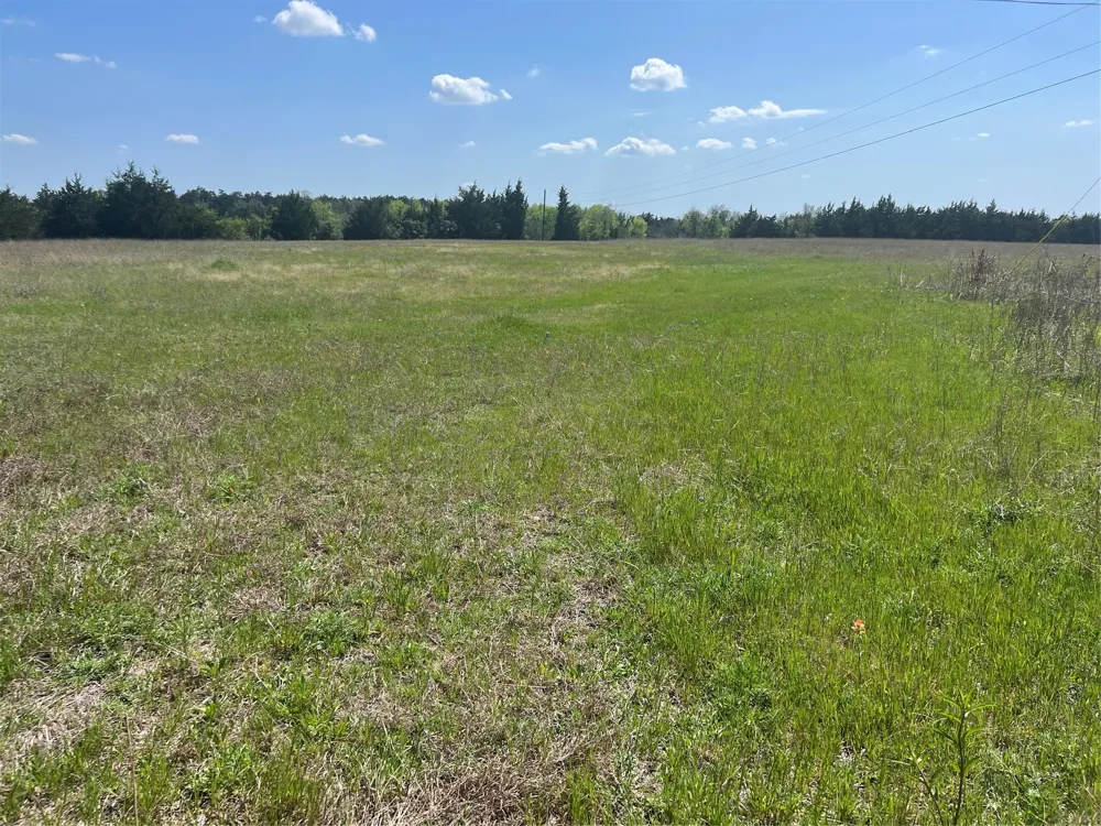 31 Fm 2562 And Cr 218 Road Anderson, TX 77830