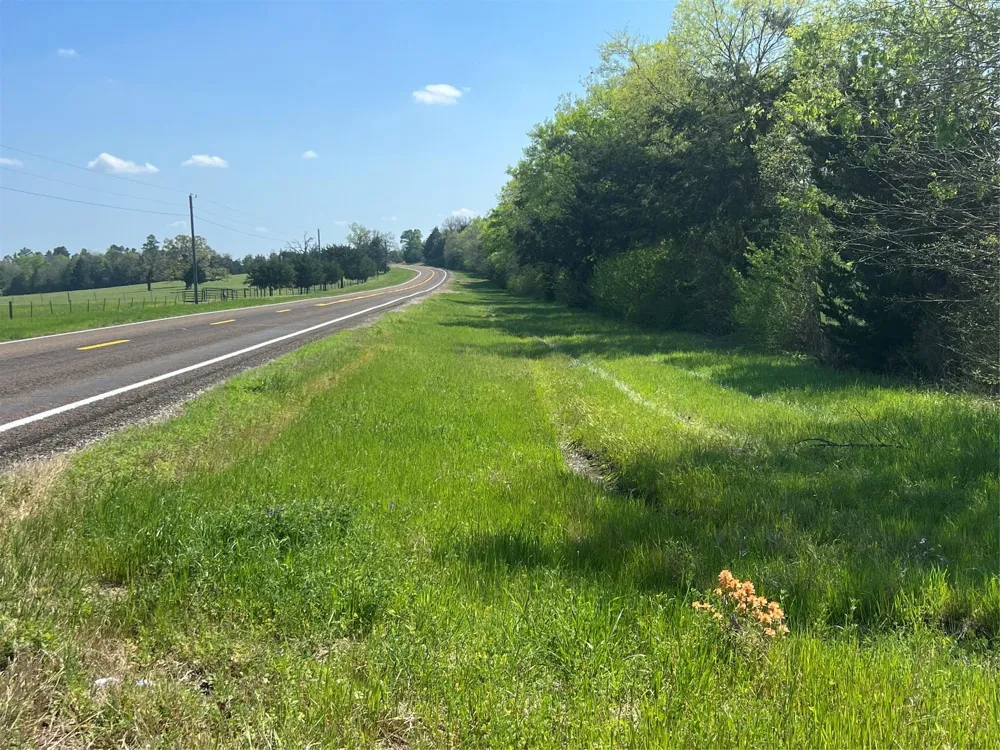 31 Fm 2562 And Cr 218 Road Anderson, TX 77830
