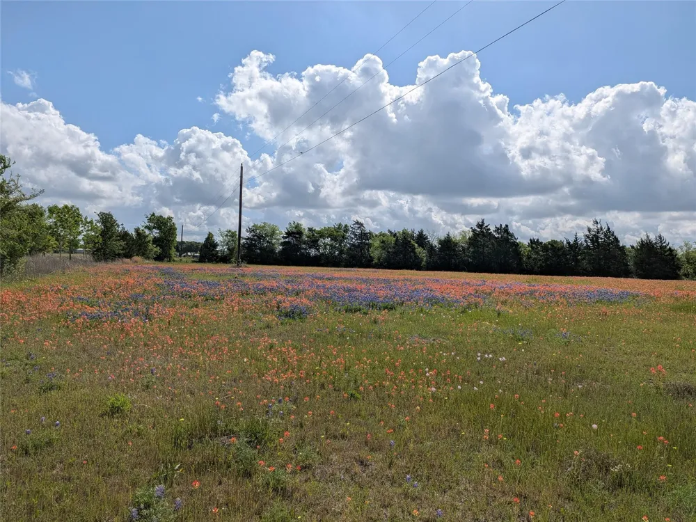 31 Fm 2562 And Cr 218 Road Anderson, TX 77830