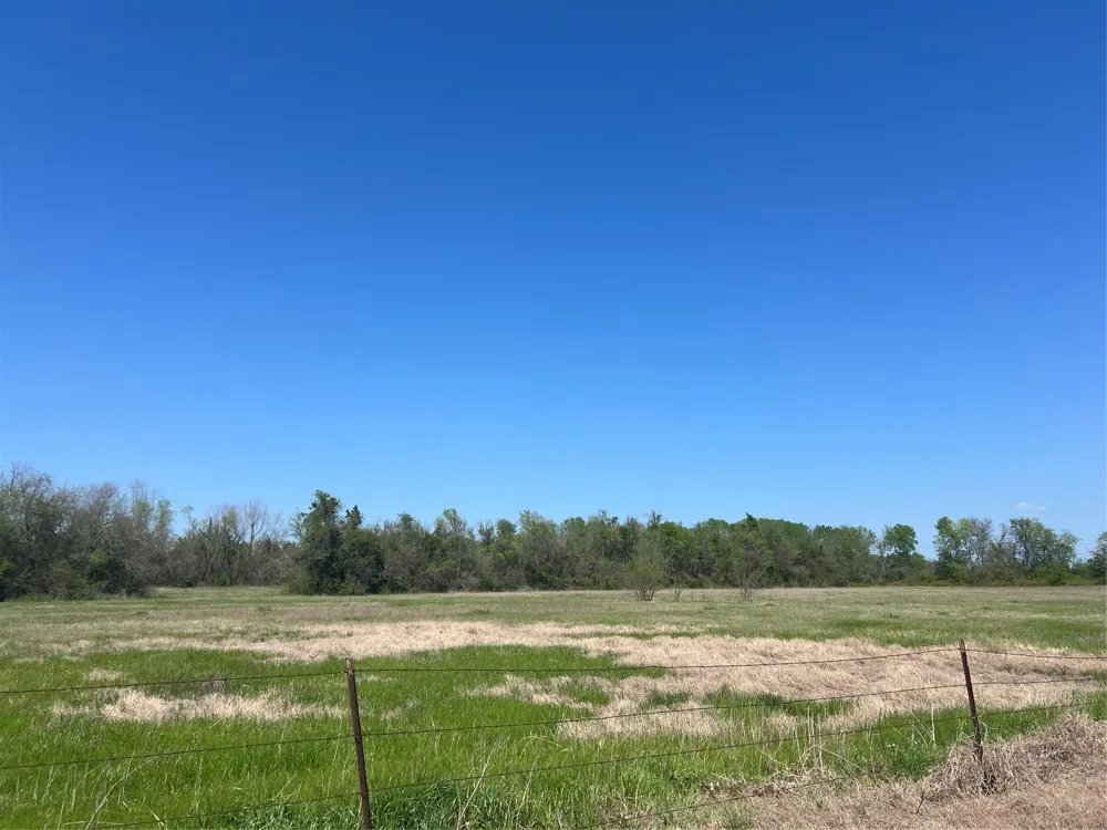 31 Fm 2562 And Cr 218 Road Anderson, TX 77830